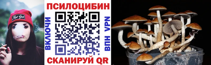 Псилоцибиновые грибы мухоморы  купить наркотик  Новошахтинск 