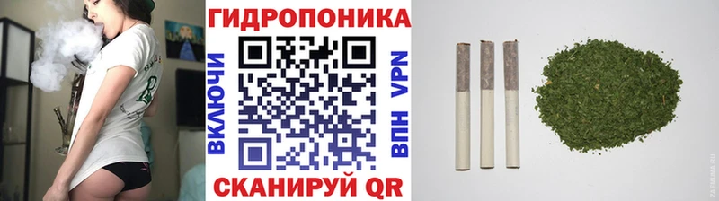 где можно купить   Новошахтинск  Каннабис Amnesia 